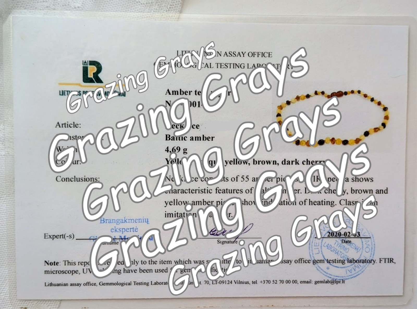 Raw Honey Lithuanian Baltic Amber Necklace 🐝 11.5" 🐝 Lab Certified