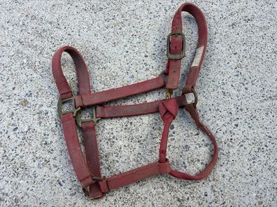 BMB Red Halter - Full Size - VERY USED, LOTS OF RUST
