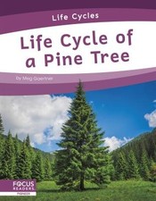 Life Cycle of a Pine Tree, Meg Gaertner, Hardback