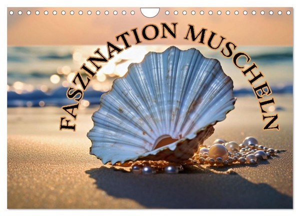 "Calendar 2027 · US Version · The Fascination Of Mussels (Wall Calendar 2027 12\""-image