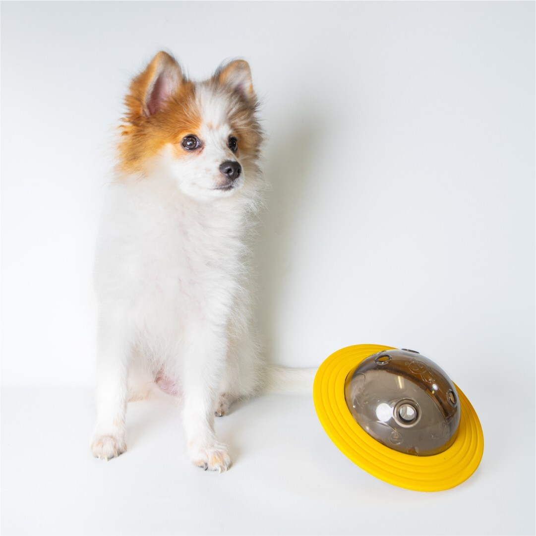 BIG SALE Pawmerce 2in1 Dog Smart Feeder & UFO  Toy For Pets