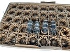 Vintage Triodes Sockets