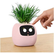 Unique Gift for Plant Lovers & Coworkers