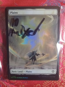 10 MIXED FULL ART FOIL LAND cards Secrets of Strixhaven Magic The Gathering MTG