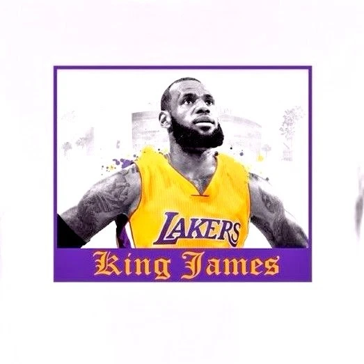 Lebron james 213 discount