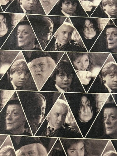 Harry Potter Cotton Fabric - 2 1/2 YARDS - Camelot Fabrics - Picture 2 of 2