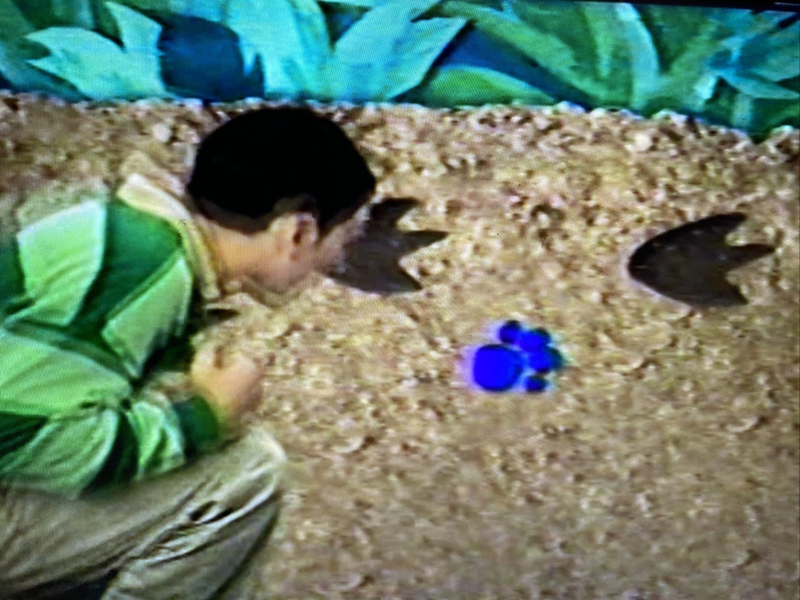 VHS Blank Blues Clues Dora Nick Jr. | Grelly USA