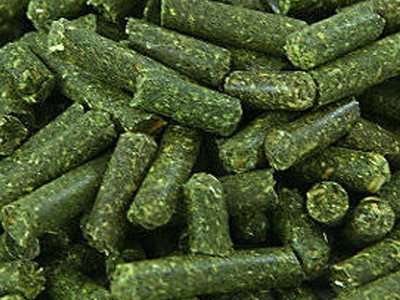 alfalfa pellets for guinea pigs