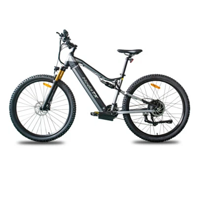 Heda TX19 29 Zoll Elektrofahrrad 19,2Ah E-Mountainbike 1000W City eBike 27-Gang