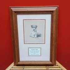 Scottish Terrier A Dog's Life by Mac vintage style wooden framed dog print