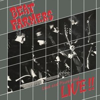 Loud And Plowed And... Live!! - Vinyl Record - G4Z