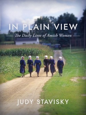 In Plain View: The Daily Lives of Amish Women by Judy Stavisky (English) Hardcov