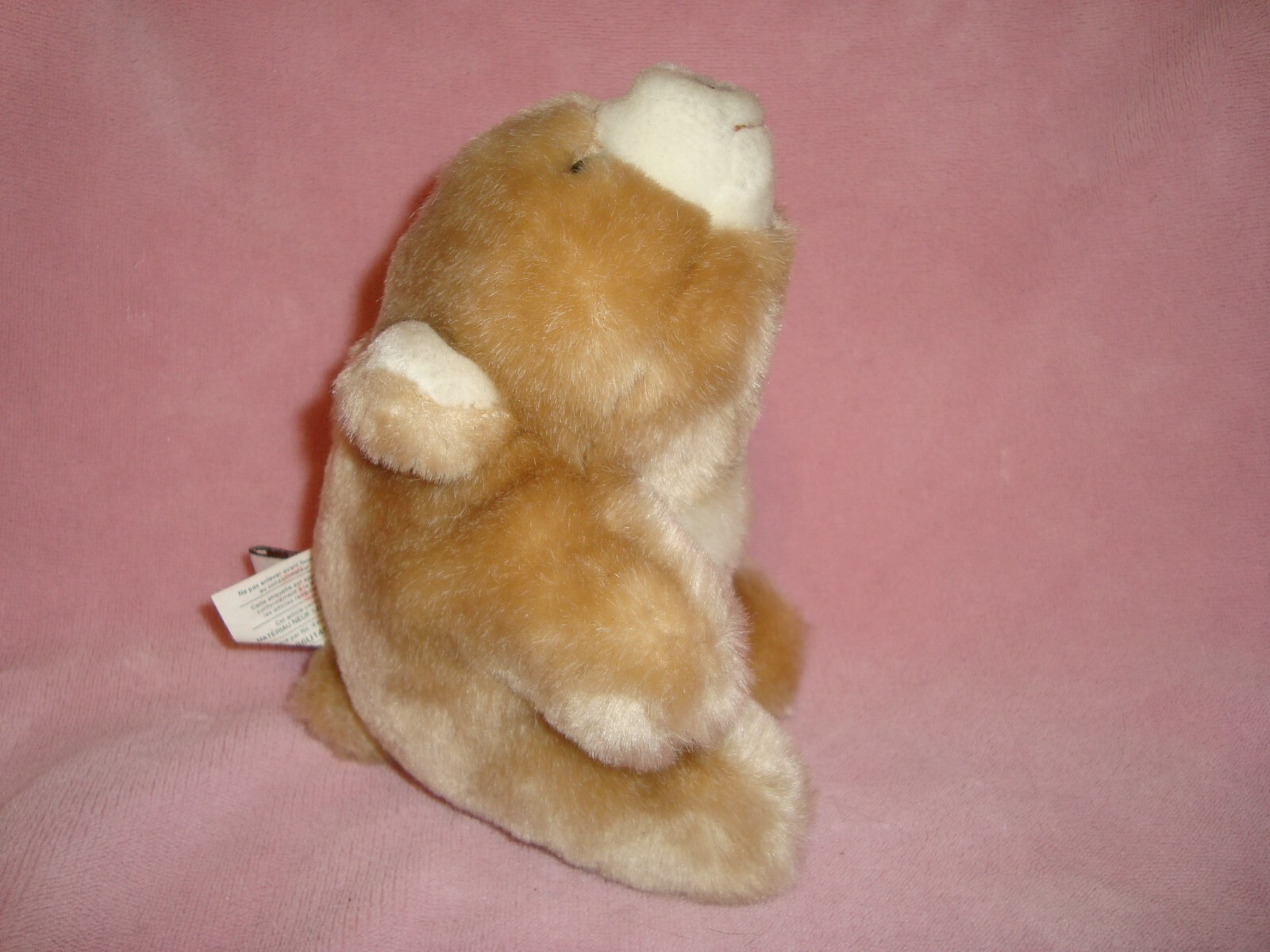 Picture 3 of 7