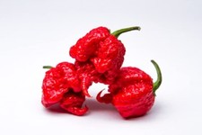 Carolina Reaper Pepper Seeds to Plant - Worlds Hottest Peppers