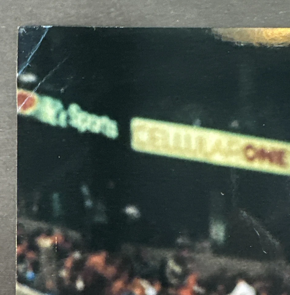 Toni Kukoc Chicago Bulls Signed 8x10 Photo # 7 Auto Steiner Coa World Champion - Image 3 of 4