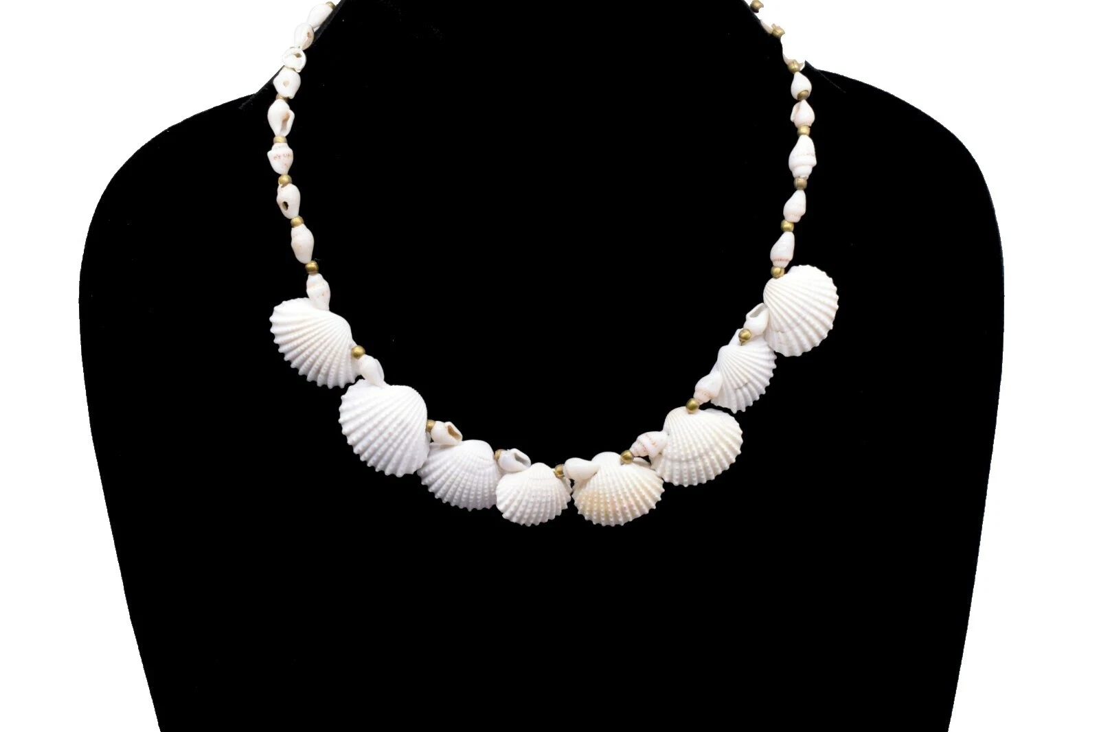 Shell Beach Collares y colgantes De Moda Blanco