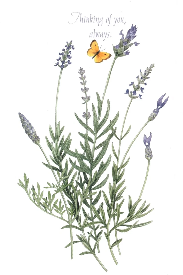 Get Well Wishes Purple Botanical Flower Flowers & Butterfly Greeting Card - Image 3 of 3