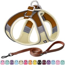 Dog Harness Summer No-Pull Cat Harness with a Leash Adjustable Reflective Dog...