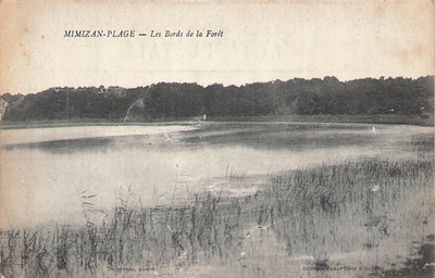 40 Mimizan Strand Les bords de la forêt 113917