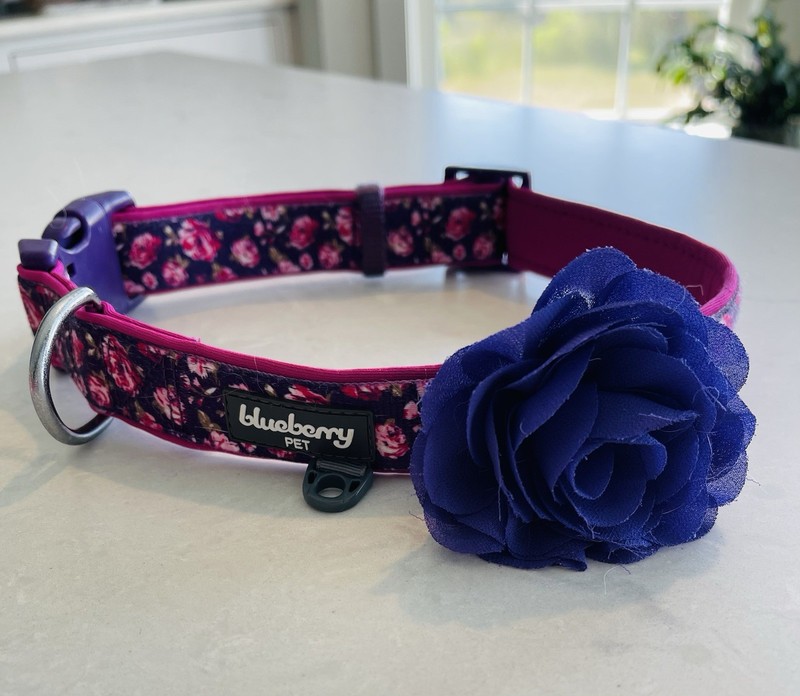 Blueberry Pet Pink/Purple Floral Heavy Duty Large Breed Dog Collar & Flower