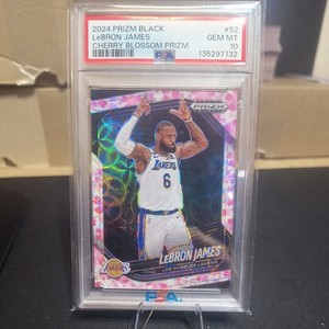 lebron james cherry blossom