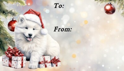 Samojeder Hund Weihnachtsetiketten von Starprint - 42 Peel Off Etiketten