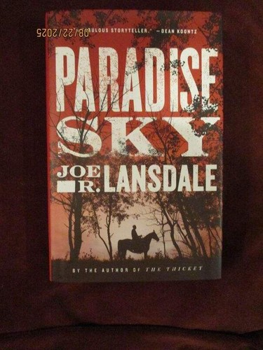 Joe Lansdale - PARADISE SKY - 1st/1st (ex-library)