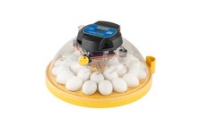 Maxi 24 Advance Egg Incubator with Automatic Egg Turning and Temperature Cont...
