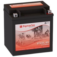 SigmasTek STX30L-BS Sealed Lead Acid AGM Battery Compatible w/ West Co 12VX30L-B