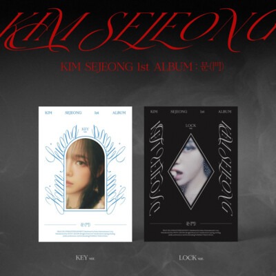 Lee Jong Gi VOL. 1 & 2 アルバムセット KIM SEJEONG 문(門) DOOR 1st Album CD+Photobook+Photocard+Etc+