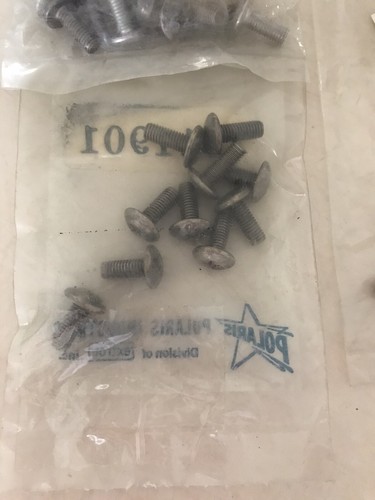 Polaris Oem Screw 7511915 Lot Of 41 - Foto 3 di 6
