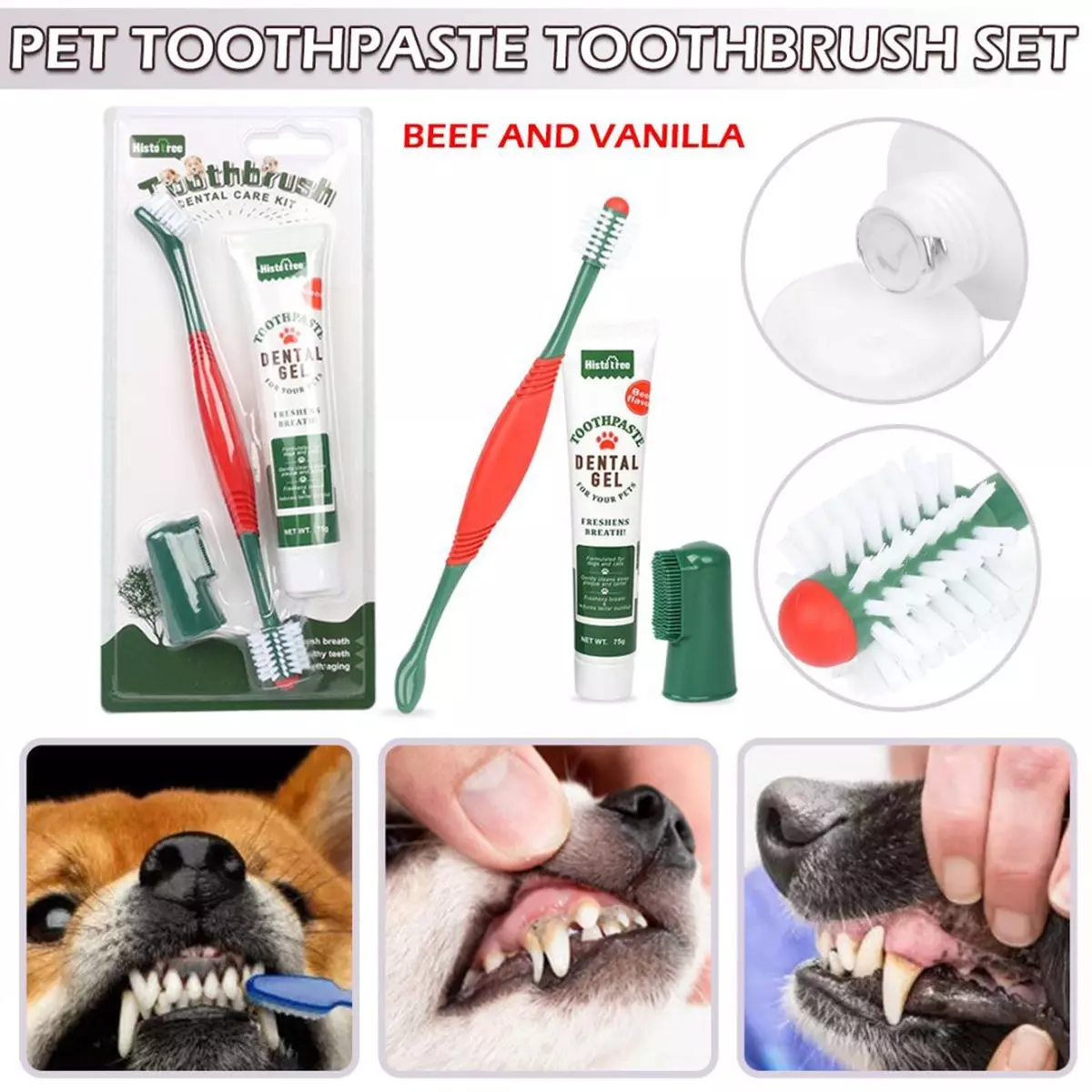 Dog toothbrush and toothpaste clearance ebay