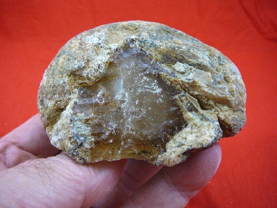 k-2031) 180 g Rare Kauri tree Gum copal young Amber New Zealand