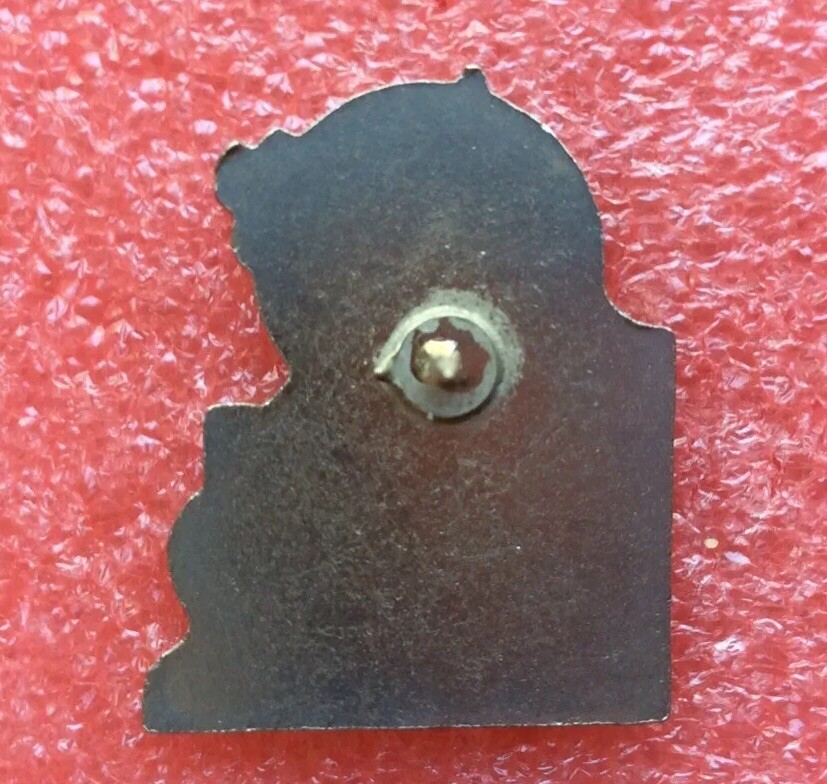 PIN'S LAPEL PIN SPILLA CORSE CORSICA 91 RACE 22