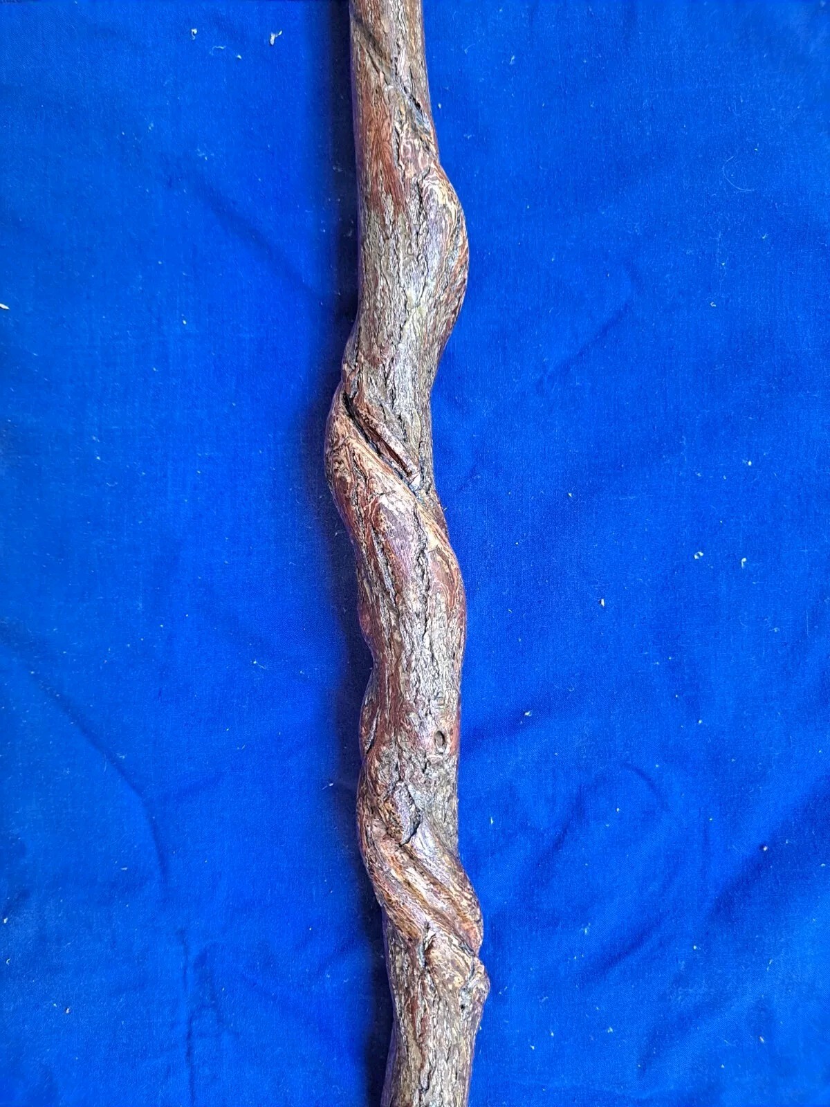 Picture 6 of 9