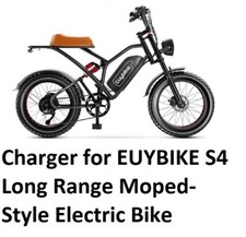   Fast battery charger for EUYBIKE S4 Moped style Electric Bike 3A