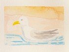 Original ACEO - Watercolor seagull with sunset background by finns.paints — photo 3