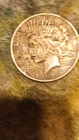 1923 Peace Dollar $1 Silver Coin Circulated Business Strike 0.9 Fineness