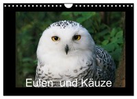 "Calendar 2027 · US Version · Owls And Owls (Wall Calendar 2027 12\" × 8\" Landscap"