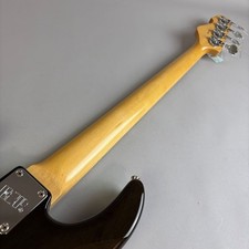 ESP AMAZE-CTM E-Gitarre Hartschalenkoffer