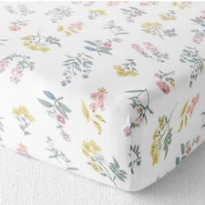 NWT Carter's Little Planet Organic Mini Crib Sheet