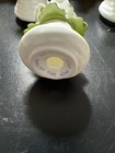 Foto 7 di 7