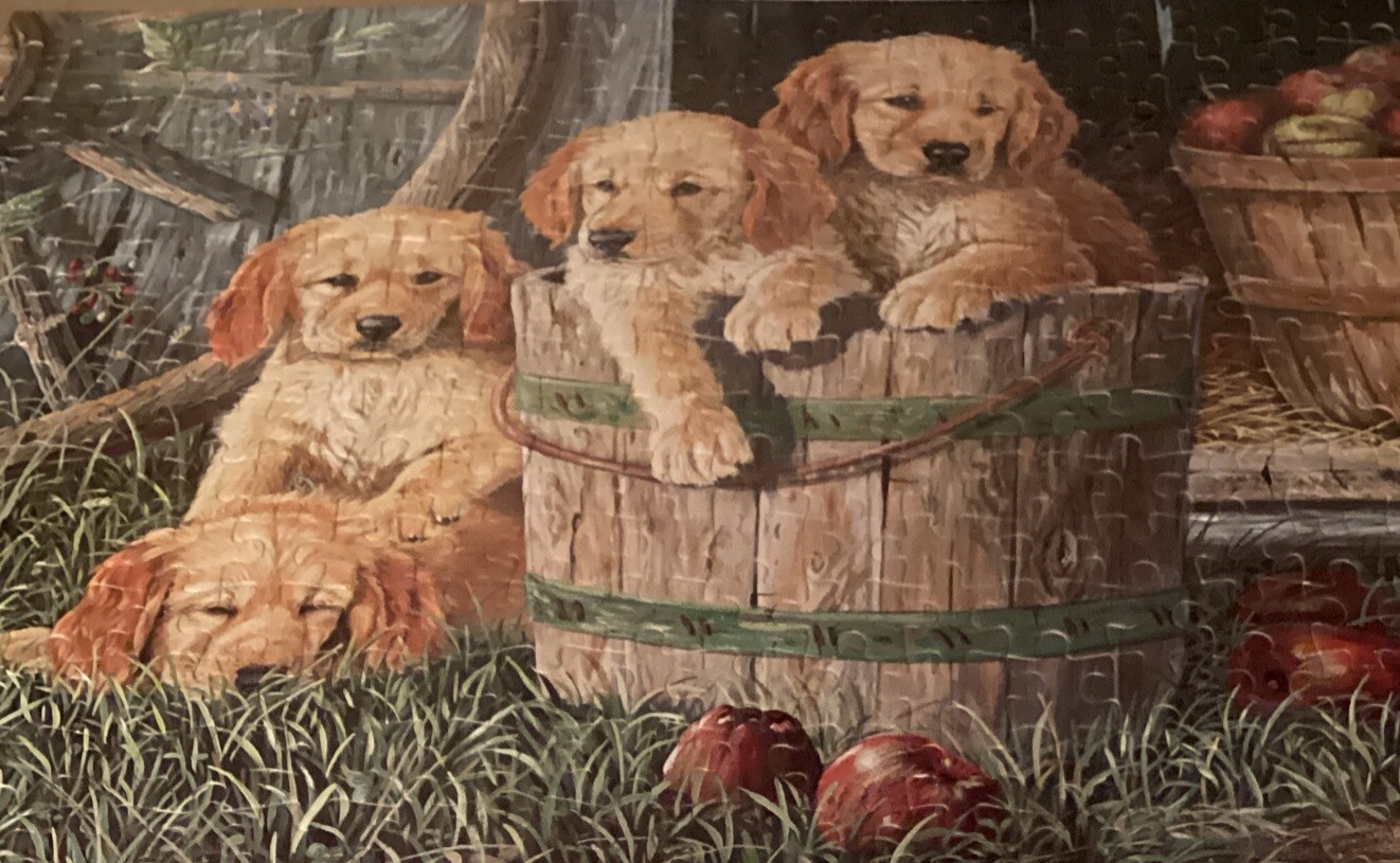 Picture 1 of 16