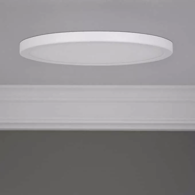 Feit led downlight deals