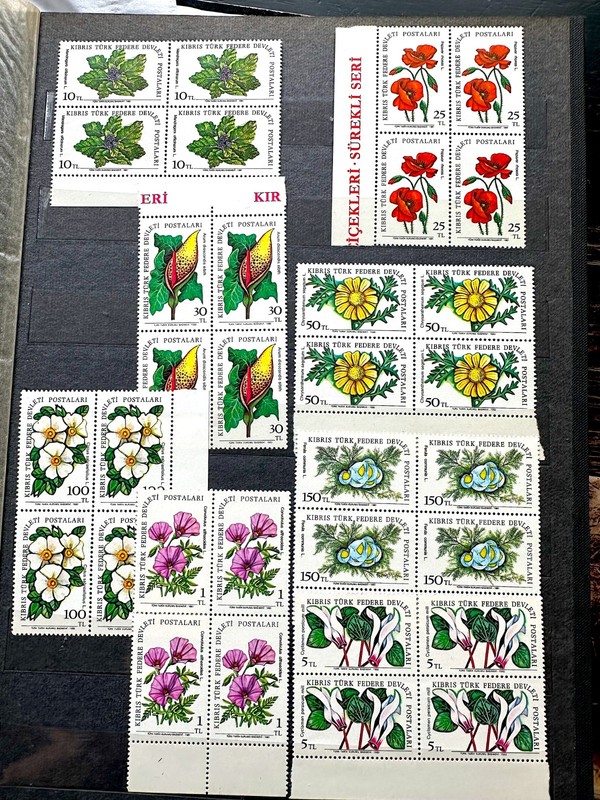 1981 Turkish Rep. of Northern Cyprus Complete Set of Flowers Blk of 4, MNH, OG