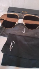 Cartier CT0875S Sunglasses