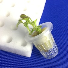 5 Pcs Gardening Sponge Hydroponic Grow Media Hydroponic Sponge Planting 9.30 per sponge