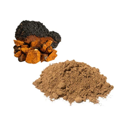 Bulk Chaga Mushroom Powder, 100% Pure, Immune Boost, Antioxidant Rich