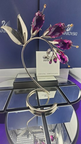 NEW~Swarovski Crystal~**DACEA FUSCHIA*~Austria~BOXES & COA~8" TALL~945871~FLOWER - Picture 10 of 15