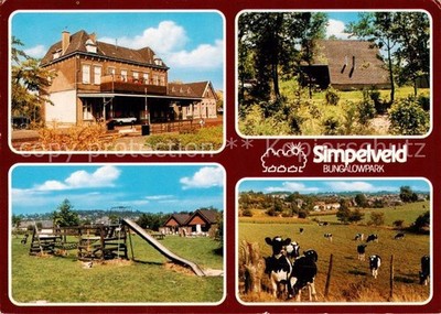 Simpelveld NL bungalow park station cattle pasture